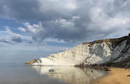 Ulivi di Cleo - Foto 52