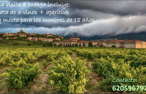 La Puerta de Viana, con garaje, txoko y piscina! - Foto 23