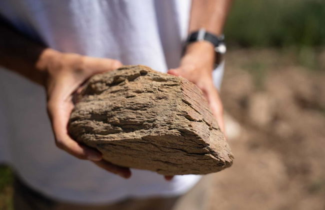 Quinta Vila Rachel - Photo 36