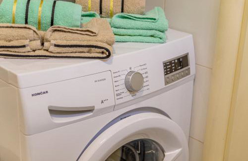 Flexible SelfCheckIns 56 - Zagreb - Garage - Loggia - New - Foto 28