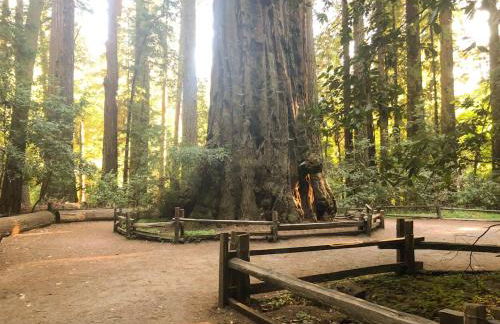 Redwood Oasis - Private Heated Pool by State Park! - Foto 49