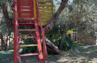 La dimora delle Rose - Foto 21