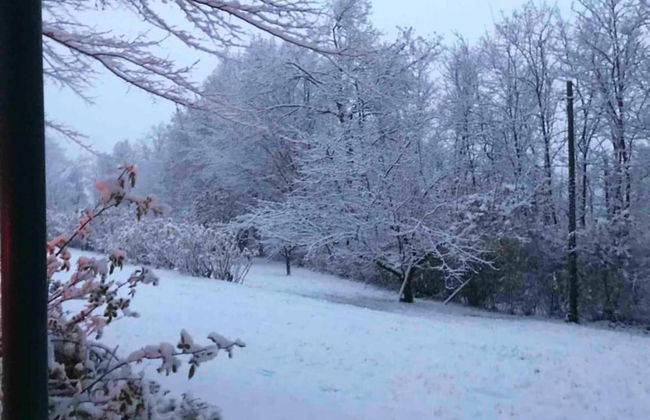 Gorgeous Vacation Home With Pool - Foto 23