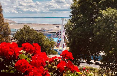 Pier View Self Catering Luxury Apartments - Foto 24