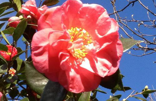 Valle Paraizo - Foto 45