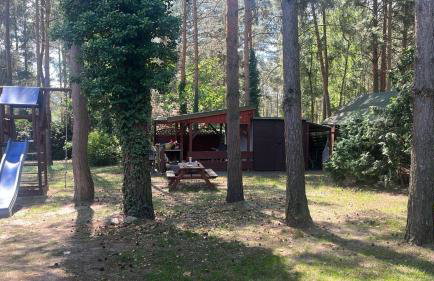 Dom Letniskowy IRENA - Foto 14