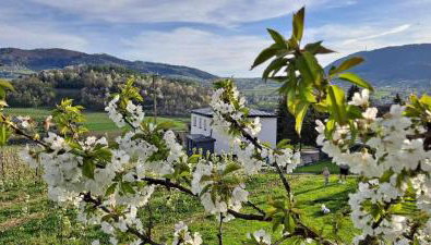 Owocowe Wzgórze - Foto 5