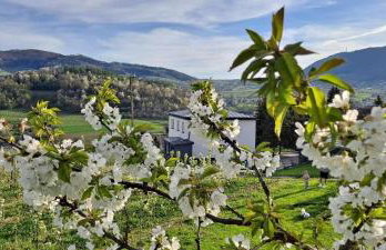 Owocowe Wzgórze - Foto 5