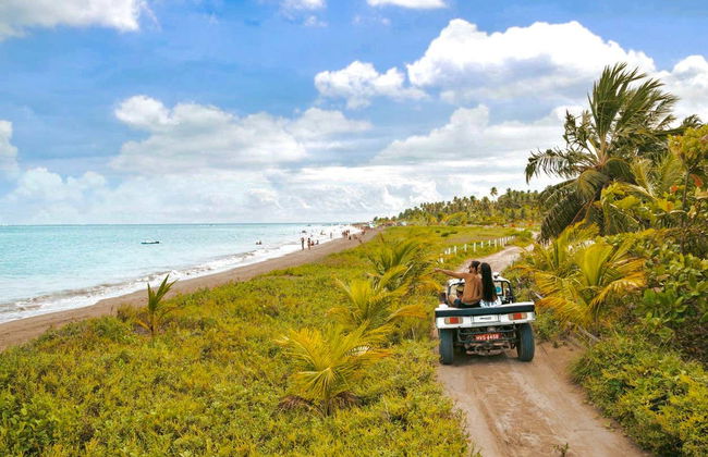 Excursión a Maragogi - Foto 5