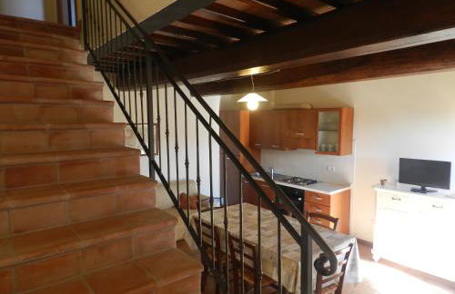 Colle Bertini - Foto 16