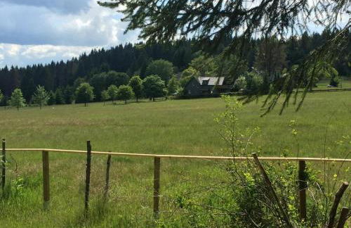 Tiny Chalet Stuga Am Rennsteig mit Kamin und Garten, Hunde Willkommen - Foto 14