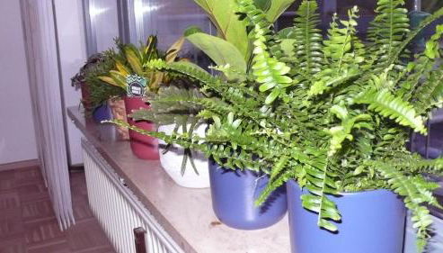 Ferienwohnung in ehemaliger Bank - Foto 2