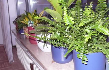 Ferienwohnung in ehemaliger Bank - Foto 2