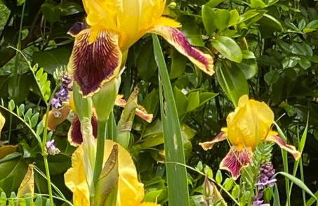 Moulin Grand, entire accommodation, 2br park river - Foto 44