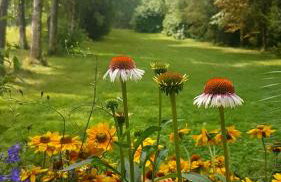 Masuria Hut - Foto 36