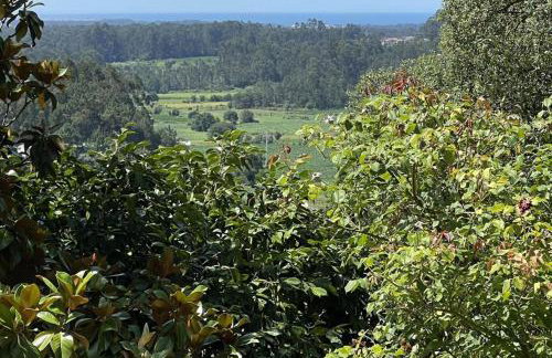 Cottage Sleeps 12 with Pool and Parking - Foto 43