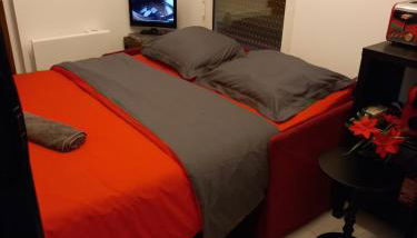 Le Papillon-0 chambre-1 canapé lit convertible au salon - Foto 4