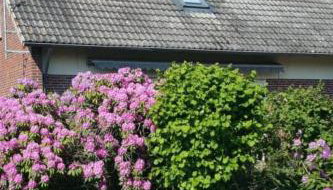 Holiday Home Jadeglück by Interhome - Foto 4