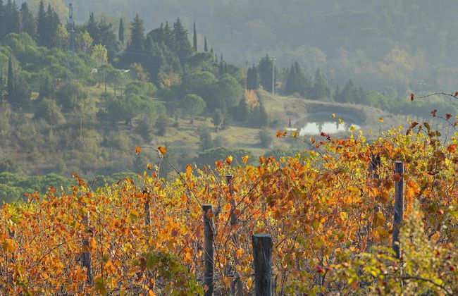 Farm House La Presura - Photo 68