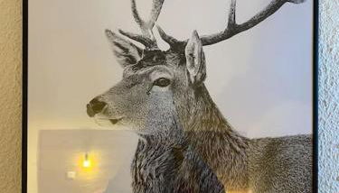 Résidence le DORONIC Duplex 8 pers La Plagne 1800 - Foto 5