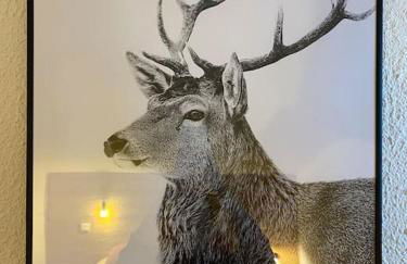 Résidence le DORONIC Duplex 8 pers La Plagne 1800 - Foto 5