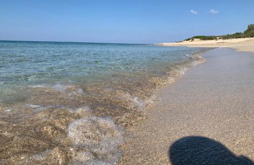 Salento Villa Cice, AC - WiFi - BBQ - attrezzatura da spiaggia - parcheggio privato sorvegliato, Due unità abitative indipendenti e giardino a due passi dal mare - Torre Ovo - Foto 64