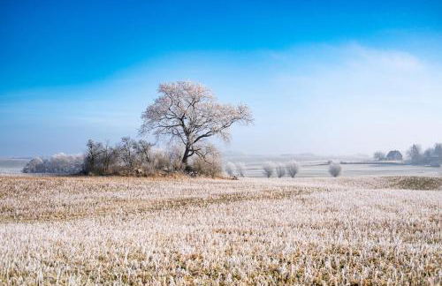 Ferienwohnung am Kunterbunthof - Foto 16