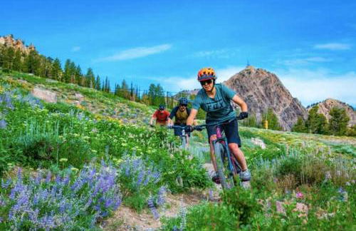 Ski-Inspired Home Close to Powder Mountain and Snowbasin - Foto 28