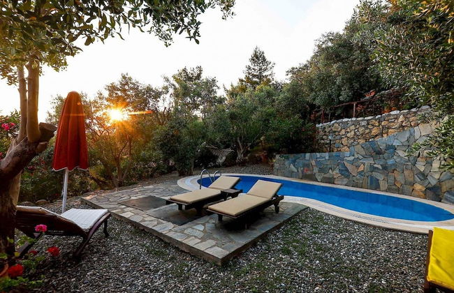 Terra Punto - Photo 8