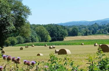 Chambre d'hôtes indépendante à la campagne - Foto 8