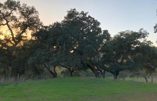 Cercado Forero - Foto 36