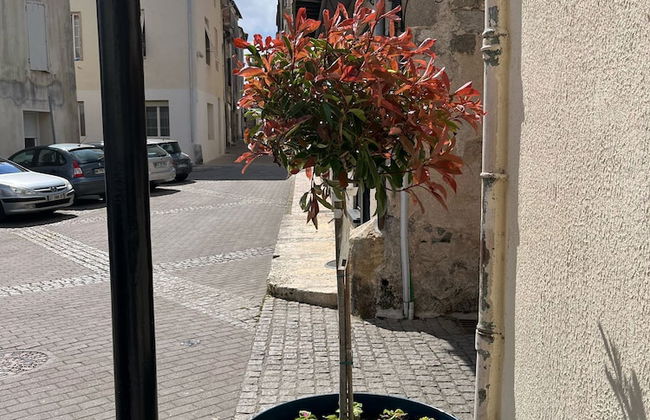 Herbert George Apartment Hotel - Foto 29