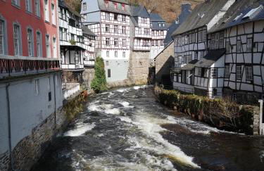 Ferienwohnung in Waldrandlage in Nationalpark Schleiden / Eifel - Foto 47