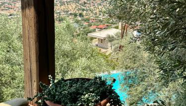 Melolia Estate - Foto 5