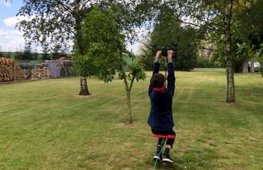 Ferienhaus Biene - Photo 34