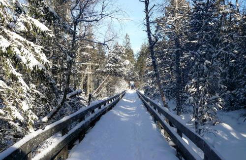 4-Sterne Ferienhaus Rösslewiese Hinterzarten - Foto 34