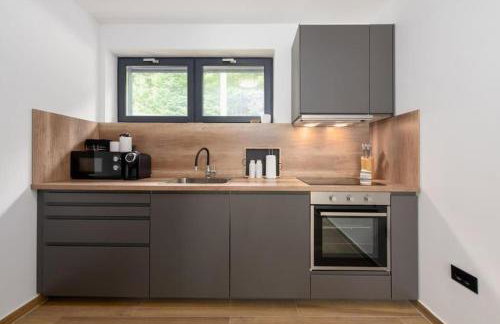 Gorska Idila "Smreka" - a Modern House in Quiet Area with Wellness - Foto 4