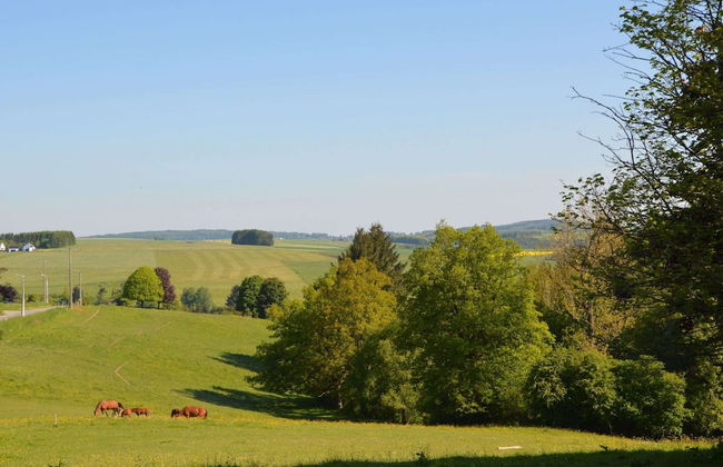 Castle in Roumont With Garden - Foto 24