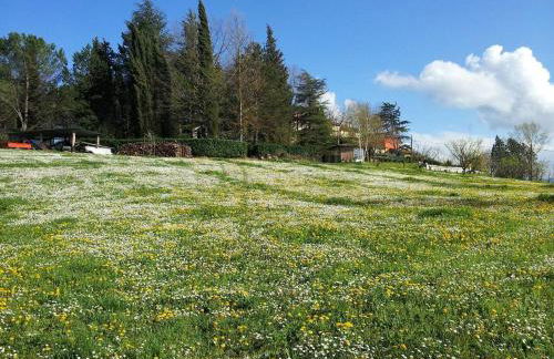 Tuscan farm Villa with Spectacular Views - Foto 25