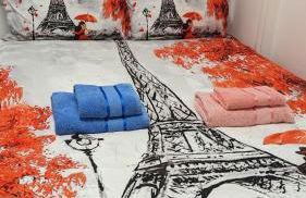 à 30 minutes de tour Eiffel - Foto 1