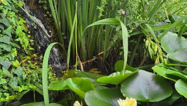 Chez Patricia en Beaujolais - Foto 4