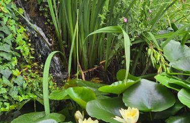 Chez Patricia en Beaujolais - Foto 4