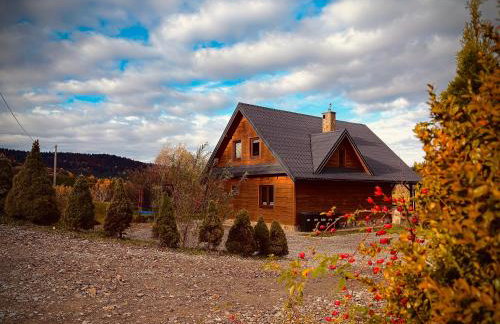 Bieszczady Żubrowe Wzgórze 785-049-543 - Foto 2