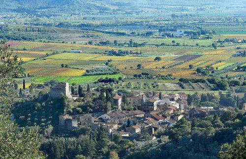 TerraVita Winery & Boutique Apartments - Foto 45