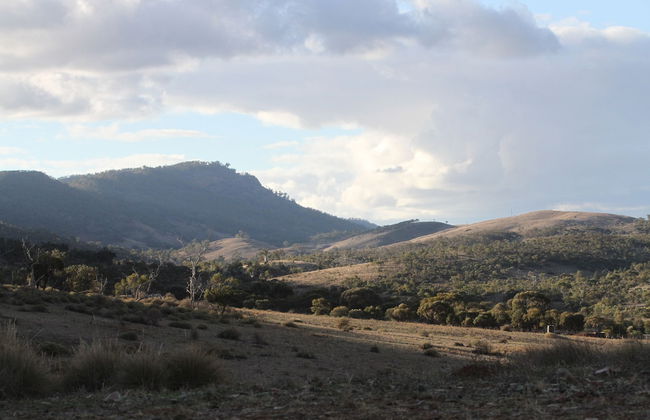 Pichi Richi Park - Foto 10