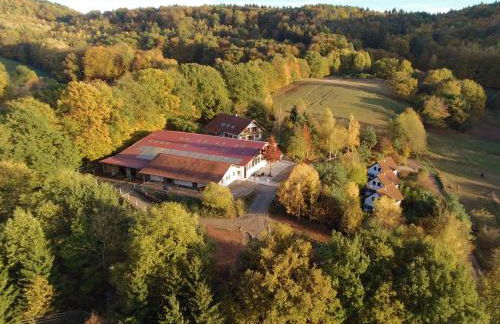 Ferienhäuser Bellana - Foto 14