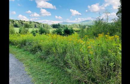 Beautiful Windham Chalet 2 minutes to the Mountain - Foto 38