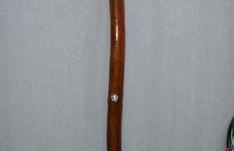 Casa Passarim em Bonito - Foto 19