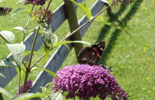 Bad Hindelang - Foto 45