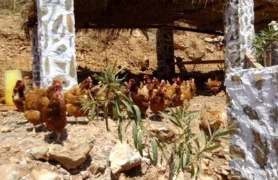 Stone Village Hotel Apartments - Foto 64